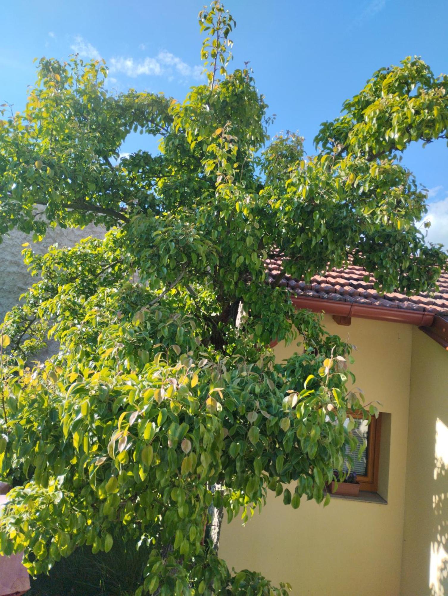 Malé útulné S Koupelnou A Kuchyňkou Appartement *